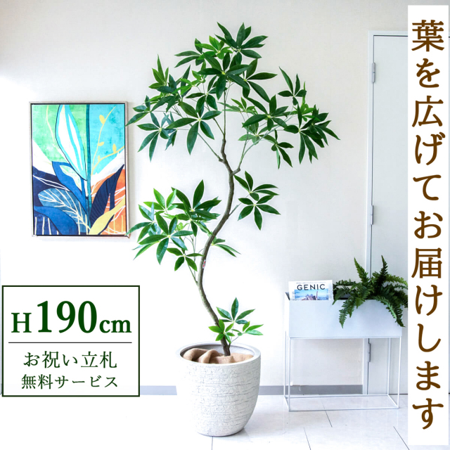【すぐ飾れる】 フェイクグリーン パキラ 190cm  大型 鉢付き / 法人・開店祝い 店舗・オフィス装飾 空間演出 立札無料・造花/PG263-GIG42IV