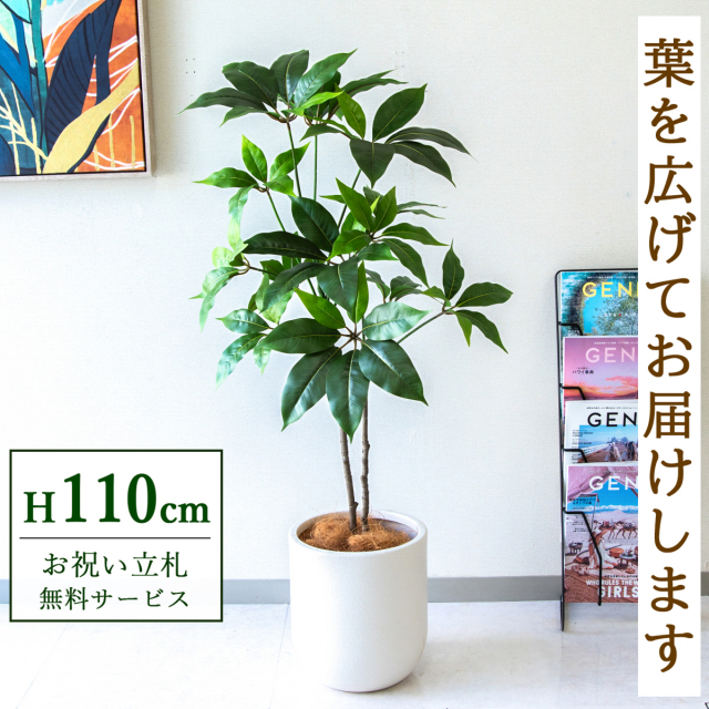 【すぐ飾れる】 フェイクグリーン ツピタンサス 110cm  鉢付き / 法人・開店祝い 店舗・オフィス装飾 空間演出 立札無料・造花/PG267-CHC25IV
