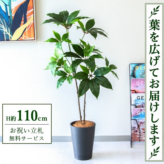 【すぐ飾れる】 フェイクグリーン ツピタンサス H約110cm 鉢付き / 法人・開店祝い 店舗・オフィス装飾 空間演出 立札無料・造花/PG267-X20BK