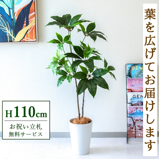 【すぐ飾れる】 フェイクグリーン ツピタンサス 110cm  鉢付き / 法人・開店祝い 店舗・オフィス装飾 空間演出 立札無料・造花/PG267-X20WH