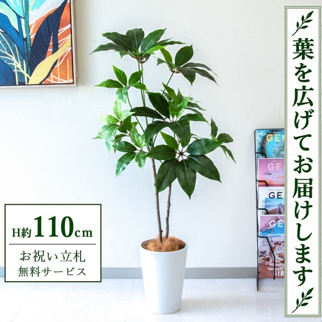 【すぐ飾れる】 フェイクグリーン ツピタンサス H約110cm 鉢付き / 法人・開店祝い 店舗・オフィス装飾 空間演出 立札無料・造花/PG267-X20WH