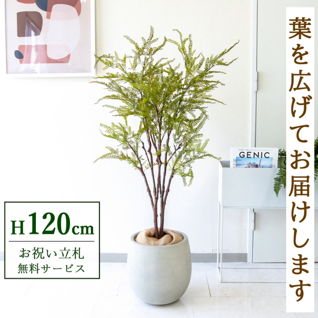【すぐ飾れる】 フェイクグリーン ファーン 120cm  鉢付き / 法人・開店祝い 店舗・オフィス装飾 空間演出 立札無料・造花/PG269-BAL30IV