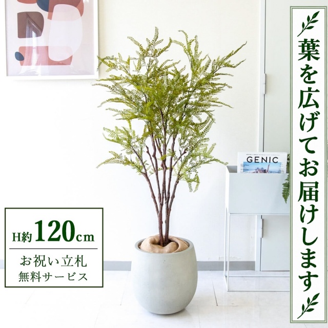 【すぐ飾れる】 フェイクグリーン ファーン H約120cm 鉢付き / 法人・開店祝い 店舗・オフィス装飾 空間演出 立札無料・造花/PG269-BAL30IV