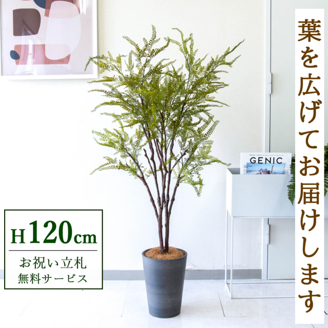 【すぐ飾れる】 フェイクグリーン ファーン 120cm  鉢付き / 法人・開店祝い 店舗・オフィス装飾 空間演出 立札無料・造花/PG269-X20BK