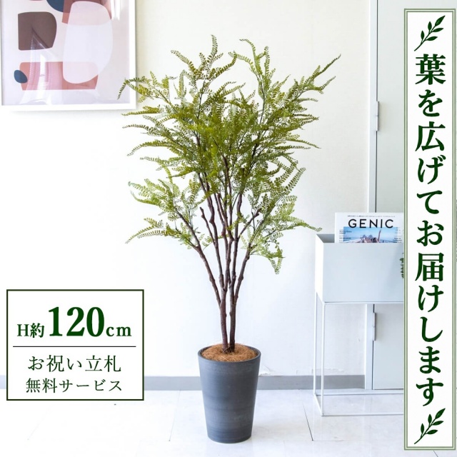 【すぐ飾れる】 フェイクグリーン ファーン H約120cm 鉢付き / 法人・開店祝い 店舗・オフィス装飾 空間演出 立札無料・造花/PG269-X20BK