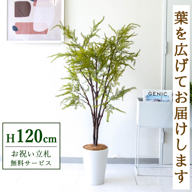 【すぐ飾れる】 フェイクグリーン ファーン 120cm  鉢付き / 法人・開店祝い 店舗・オフィス装飾 空間演出 立札無料・造花/PG269-X20WH