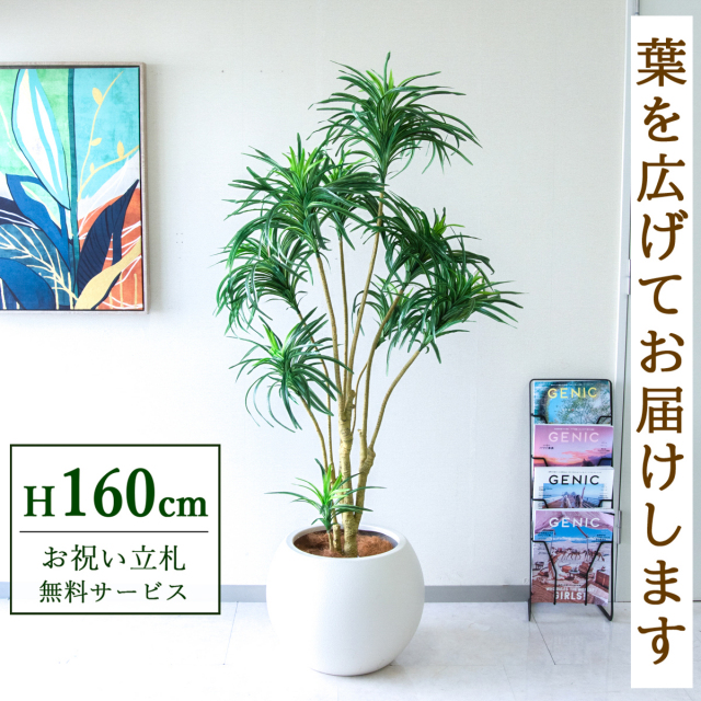 【すぐ飾れる】 フェイクグリーン ユッカツリー 160cm 鉢付き / 法人・開店祝い 店舗・オフィス装飾 空間演出 立札無料・造花/PG271-ROM43IV
