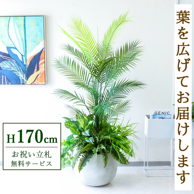 【すぐ飾れる】 フェイクグリーン アレカパーム 170cm 大型 鉢付き / 法人・開店祝い 店舗・オフィス装飾 空間演出 立札無料・造花/PG273-D42IV-UG6