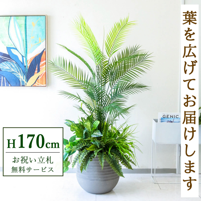 【すぐ飾れる】 フェイクグリーン アレカパーム 170cm 大型 鉢付き / 法人・開店祝い 店舗・オフィス装飾 空間演出 立札無料・造花/PG273-J40-UG6