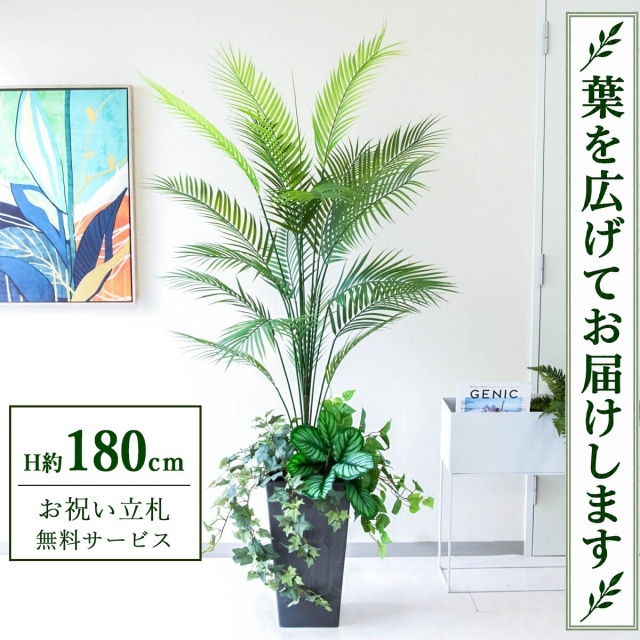 【すぐ飾れる】 フェイクグリーン アレカパーム H約180cm 大型 鉢付き / 法人・開店祝い 店舗・オフィス装飾 空間演出 立札無料・造花/PG273-Q25BK-UG5