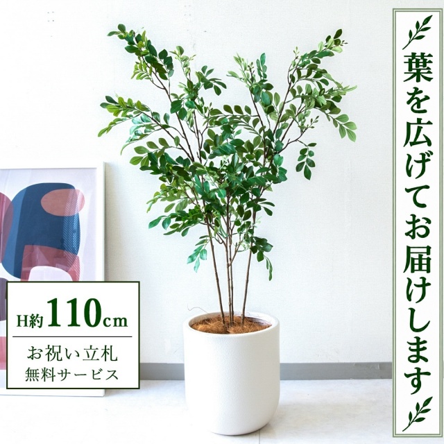 【すぐ飾れる】 フェイクグリーン トネリコ H約110cm 鉢付き / 法人・開店祝い 店舗・オフィス装飾 空間演出 立札無料・造花/PG276-CHC25IV