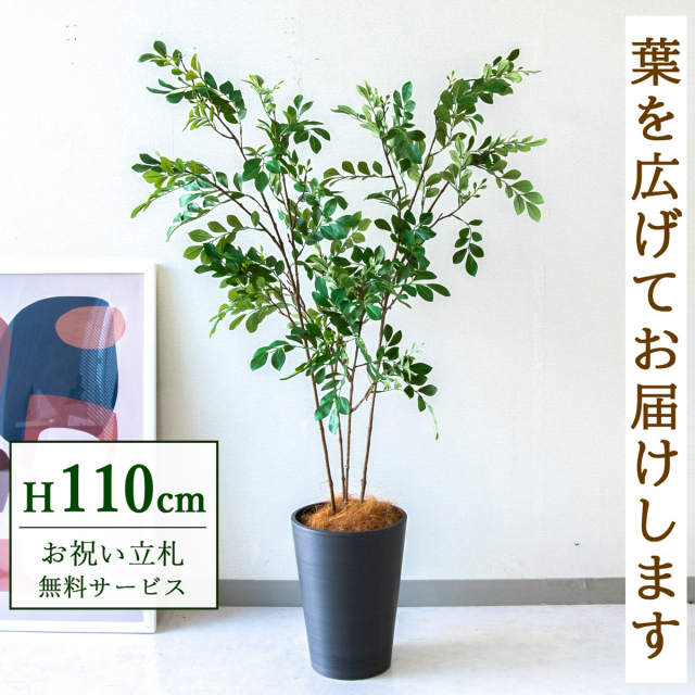 【すぐ飾れる】 フェイクグリーン トネリコ 110cm  鉢付き / 法人・開店祝い 店舗・オフィス装飾 空間演出 立札無料・造花/PG276-X20BK