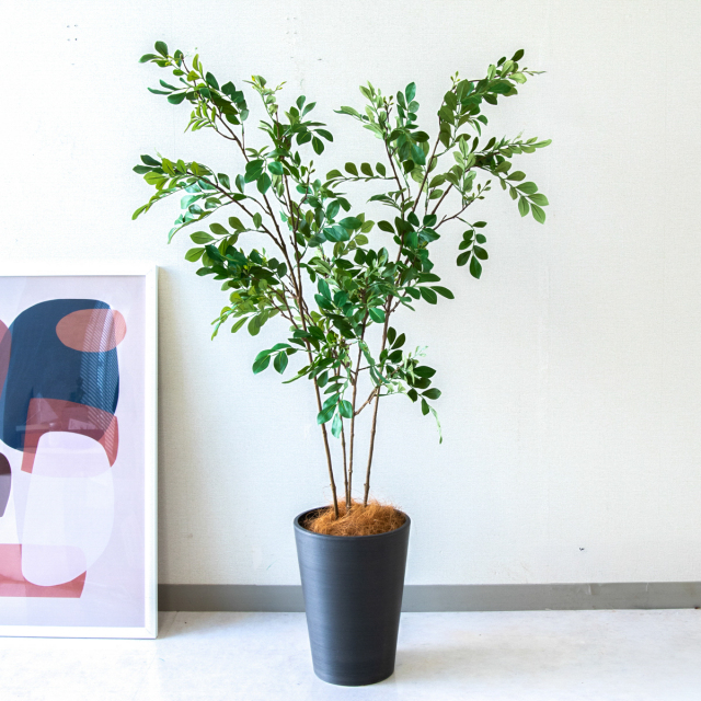 人工 観葉植物 フェイク グリーン ベンジャミンフィカスツリー H約