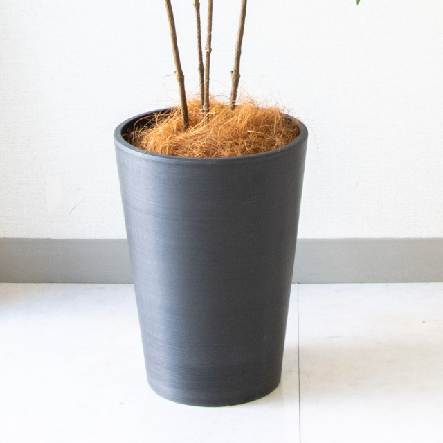 人工観葉植物 U-17132 黒色 人工観葉植物 U-17132 黒色 人工観葉植物 U-17132 黒色 人工観葉植物 U