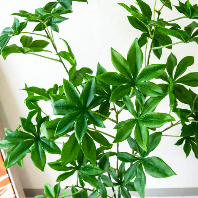 人工 観葉植物 フェイク グリーン サンセベリア H約90cm 店舗