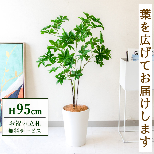 【すぐ飾れる】 フェイクグリーン バオバブツリー 95cm  鉢付き / 法人・開店祝い 店舗・オフィス装飾 空間演出 立札無料・造花/PG280-X20WH