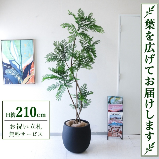 人工 観葉植物 フェイク グリーン パキラ H約145cm 店舗 装飾 開店