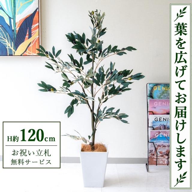 【すぐ飾れる】 フェイクグリーン オリーブ H約120cm 鉢付き / 法人・開店祝い 店舗・オフィス装飾 空間演出 立札無料・造花/PG289-Q20WH
