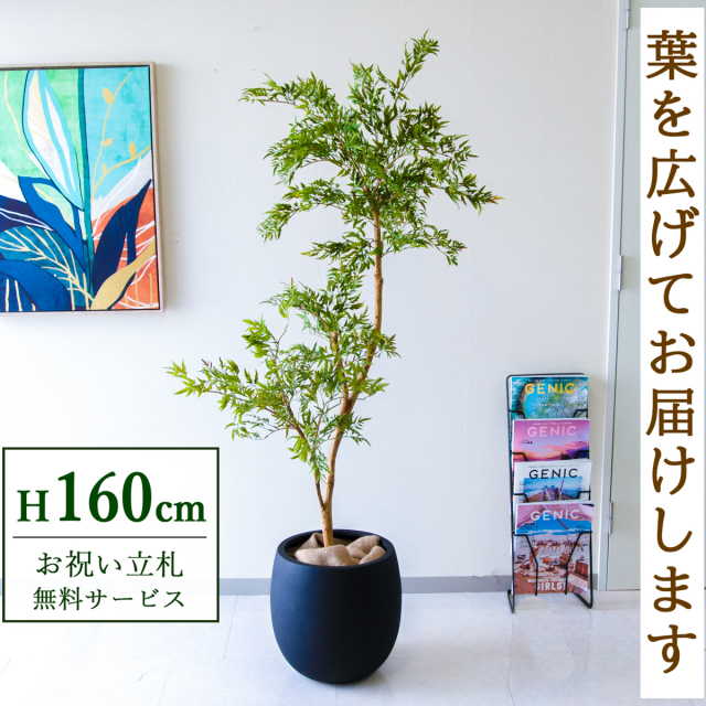 【すぐ飾れる】 フェイクグリーン ポリシャス 160cm  鉢付き / 法人・開店祝い 店舗・オフィス装飾 空間演出 立札無料・造花/PG292-BAL35BK