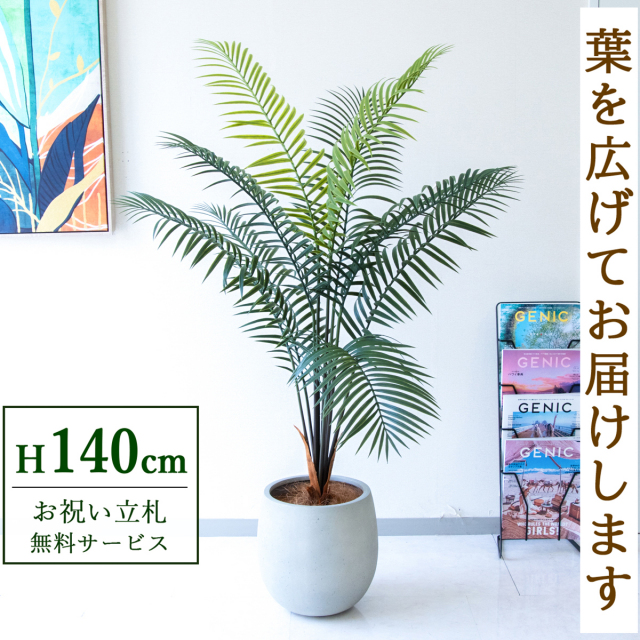 【すぐ飾れる】 フェイクグリーン アレカパーム 140cm  鉢付き / 法人・開店祝い 店舗・オフィス装飾 空間演出 立札無料・造花/PG294-BAL30IV