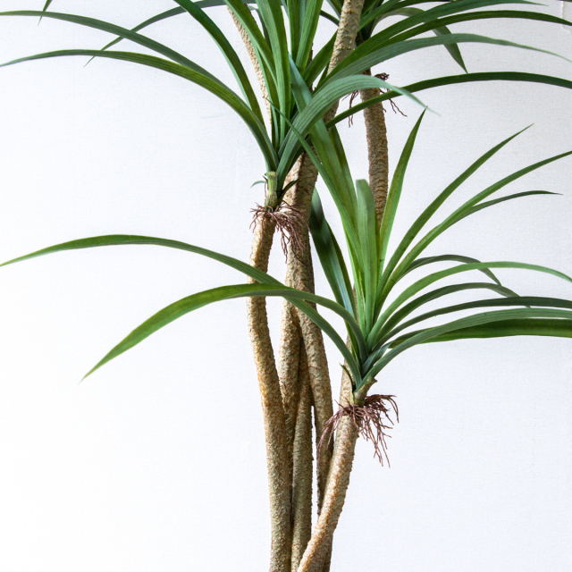 人工 観葉植物 フェイク グリーン ユッカポット H約120cm 店舗 装飾