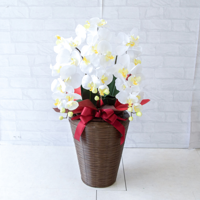 胡蝶蘭（造花）高さ75cm 祝い エントランス ロビー 観葉植物 フェイク kd-z20v6200-z1.jpg