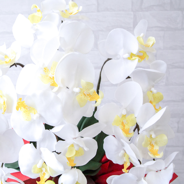 造花 胡蝶蘭/3本立ち/白/H約75cm/フェイク 開店祝い 開院祝い 開業祝い