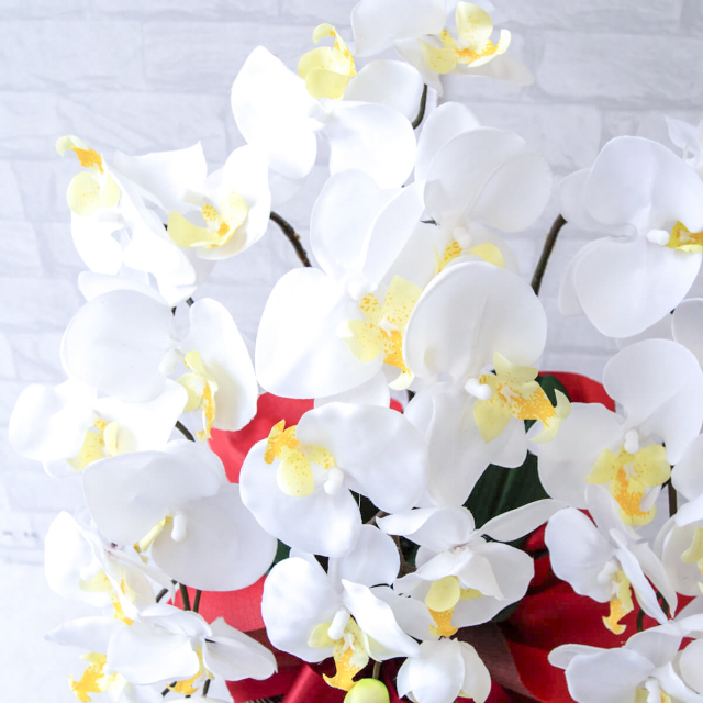 造花 胡蝶蘭/3本立ち/白/H約60cm/フェイク 開店祝い 開院祝い