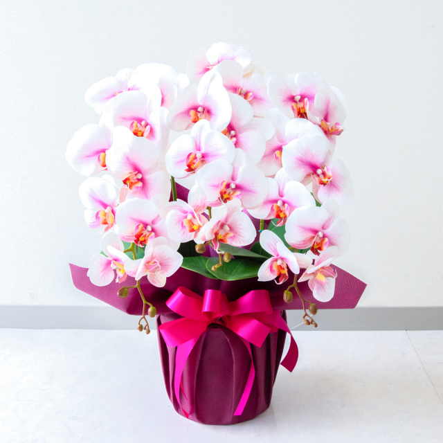 造花 胡蝶蘭/3本立ち/白/H約60cm/フェイク 開店祝い 開院祝い