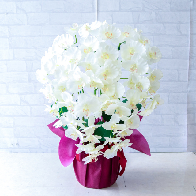 帯　蝶々　花　百貨店購入 造花 胡蝶蘭/5本立ち/白/H約75cm/フェイク 開店祝い 開院祝い