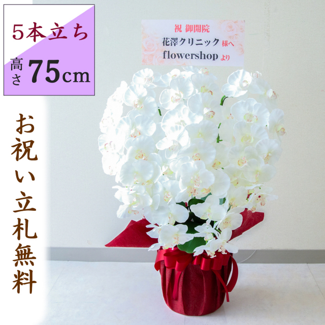 造花 胡蝶蘭/5本立ち/白(ホワイト)/H約75cm/フェイク 開店祝い 開院祝い 開業祝い 新築祝い 開店花 お祝い花 鉢植え 立札無料 プレゼント 贈答 就任 栄転 昇進 お祝い ギフト 移転 就任【PK501-REDWRAP】