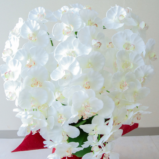 白い胡蝶蘭 造花 造花 胡蝶蘭/白(ホワイト)/7本立ち/赤ラッピング/お祝い花 開店 開業