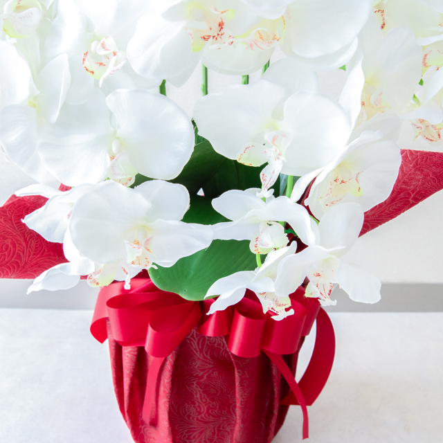 造花　胡蝶蘭白　５本立ち　お祝い花　お供え花 造花 胡蝶蘭/白(ホワイト)/5本立ち/赤ラッピング/お祝い花 開店 開業