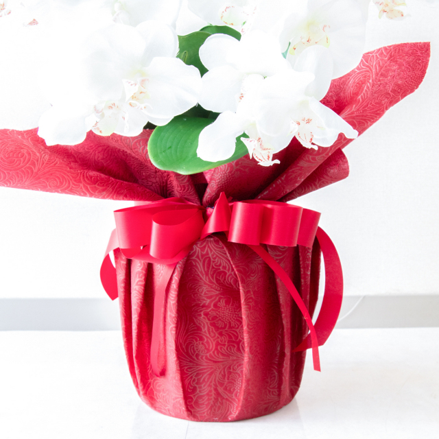 造花 胡蝶蘭/5本立ち/白/H約75cm/フェイク 開店祝い 開院祝い 開業祝い