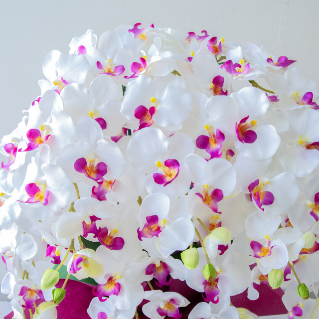 造花 胡蝶蘭/7本立ち/白/H約95cm/フェイク 開店祝い 開院祝い 開業祝い