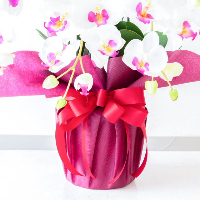 胡蝶蘭ガレージセール問い合わせ お店にお届け胡蝶蘭と装飾【大阪・靭公園近くの花屋】 - PLANAGE