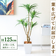 フェイクグリーンオブジェ & ベンチ型オブジェ オーダー受付！ ウェルカム 20240926-01-03.jpg