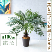 フェイクグリーン(人工観葉植物)/～100cm|祝い花屋 by PP-SHOP | 開店