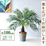 30,000円(税込)|祝い花屋 by PP-SHOP | 開店・開業・開院 お祝い用
