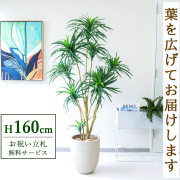 フェイクグリーン(人工観葉植物)/ユッカ|祝い花屋 by PP-SHOP