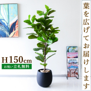 人工観葉植物 約150cm 緑色葉 Amazon｜HGJH 大型観葉植物 フェイク フェイクグリーン 大型