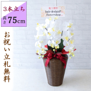 造花胡蝶蘭|祝い花屋 by PP-SHOP | 開店・開業・開院 お祝い用 造花