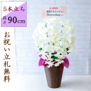 造花・胡蝶蘭5本立 造花 胡蝶蘭/5本立ち/白/H約75cm/フェイク 開店祝い 開院祝い 開業祝い