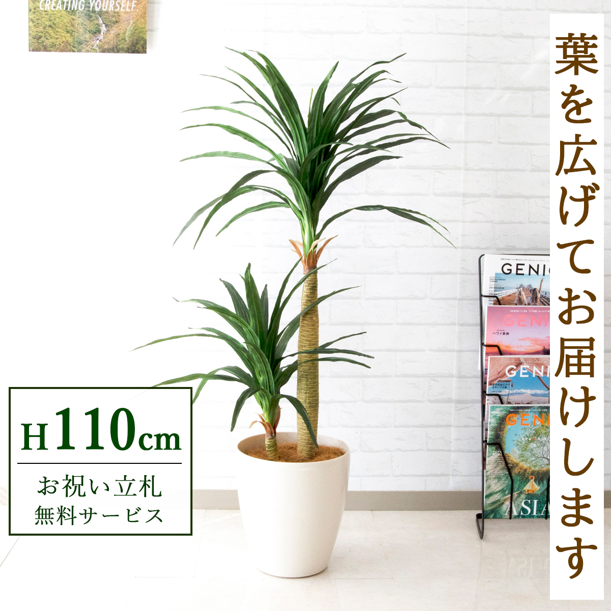 【すぐ飾れる】 フェイクグリーン ドラセナコンシナ 110cm  鉢付き / 法人・開店祝い 店舗・オフィス装飾 空間演出 立札無料・造花/PG014-A265WH