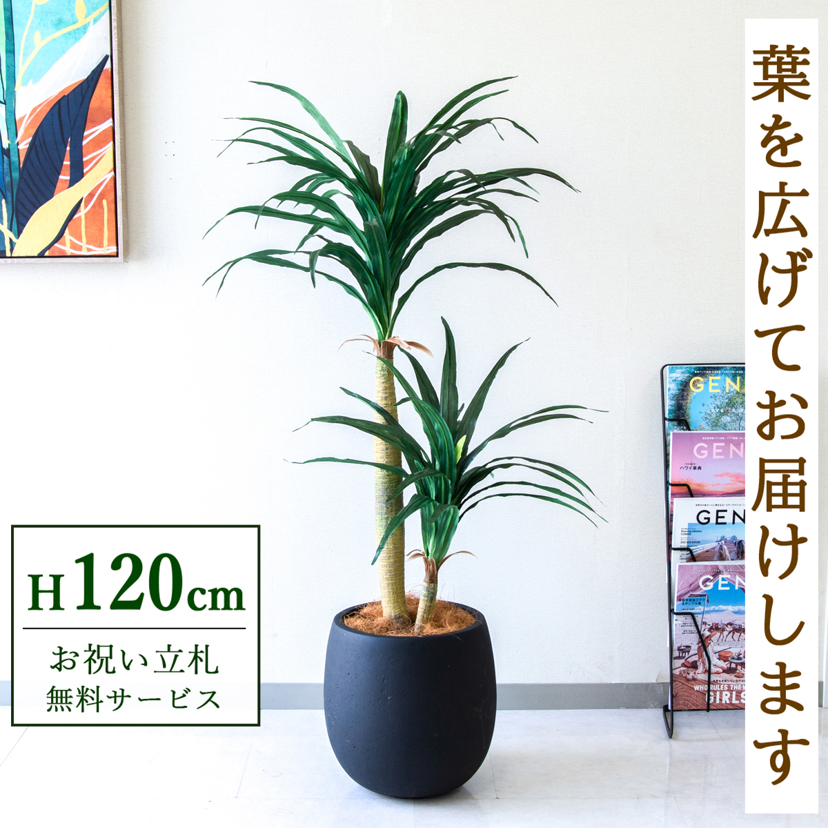 【すぐ飾れる】 フェイクグリーン ドラセナコンシナ 120cm  鉢付き / 法人・開店祝い 店舗・オフィス装飾 空間演出 立札無料・造花/PG014-BAL30BK