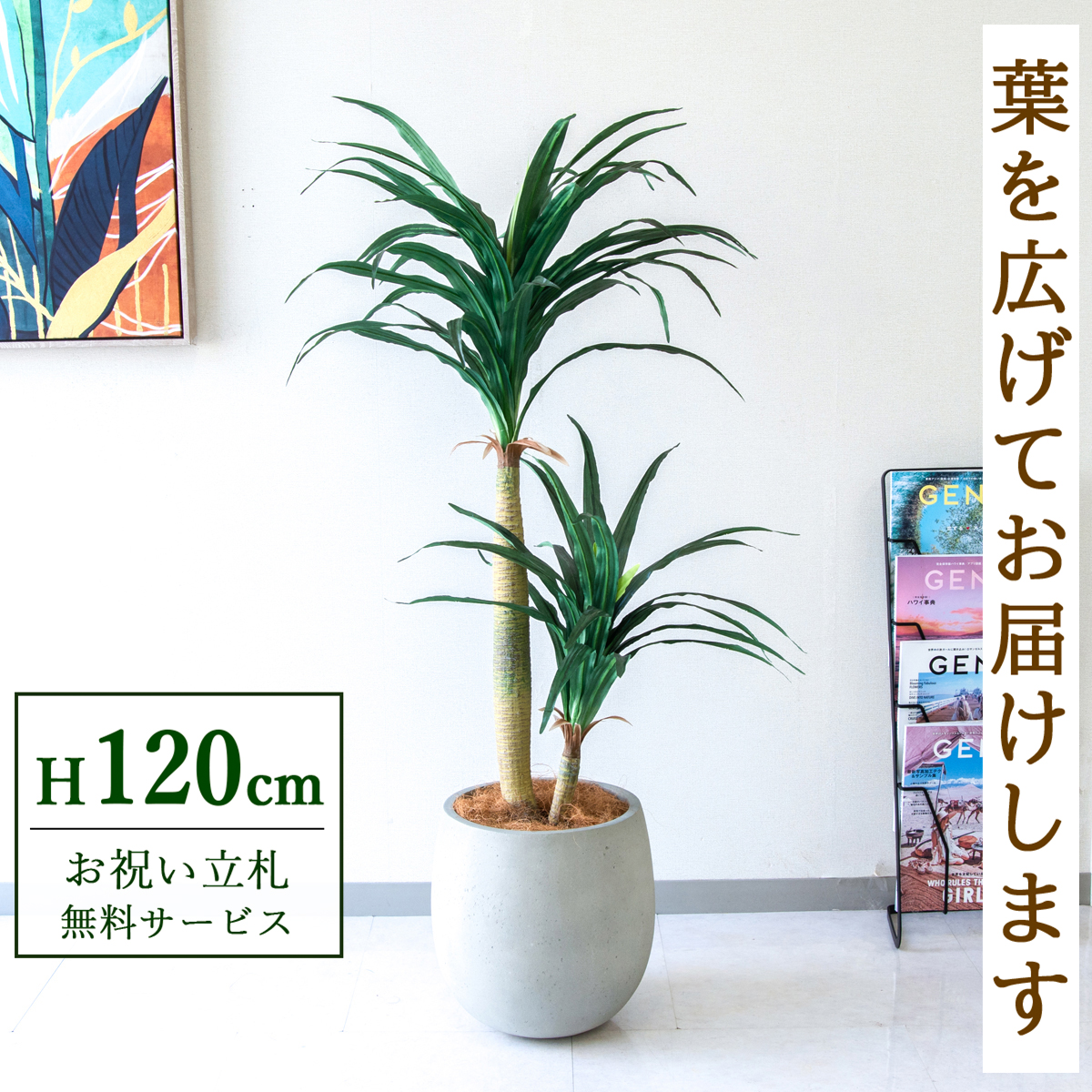 【すぐ飾れる】 フェイクグリーン ドラセナコンシナ 120cm  鉢付き / 法人・開店祝い 店舗・オフィス装飾 空間演出 立札無料・造花/PG014-BAL30IV