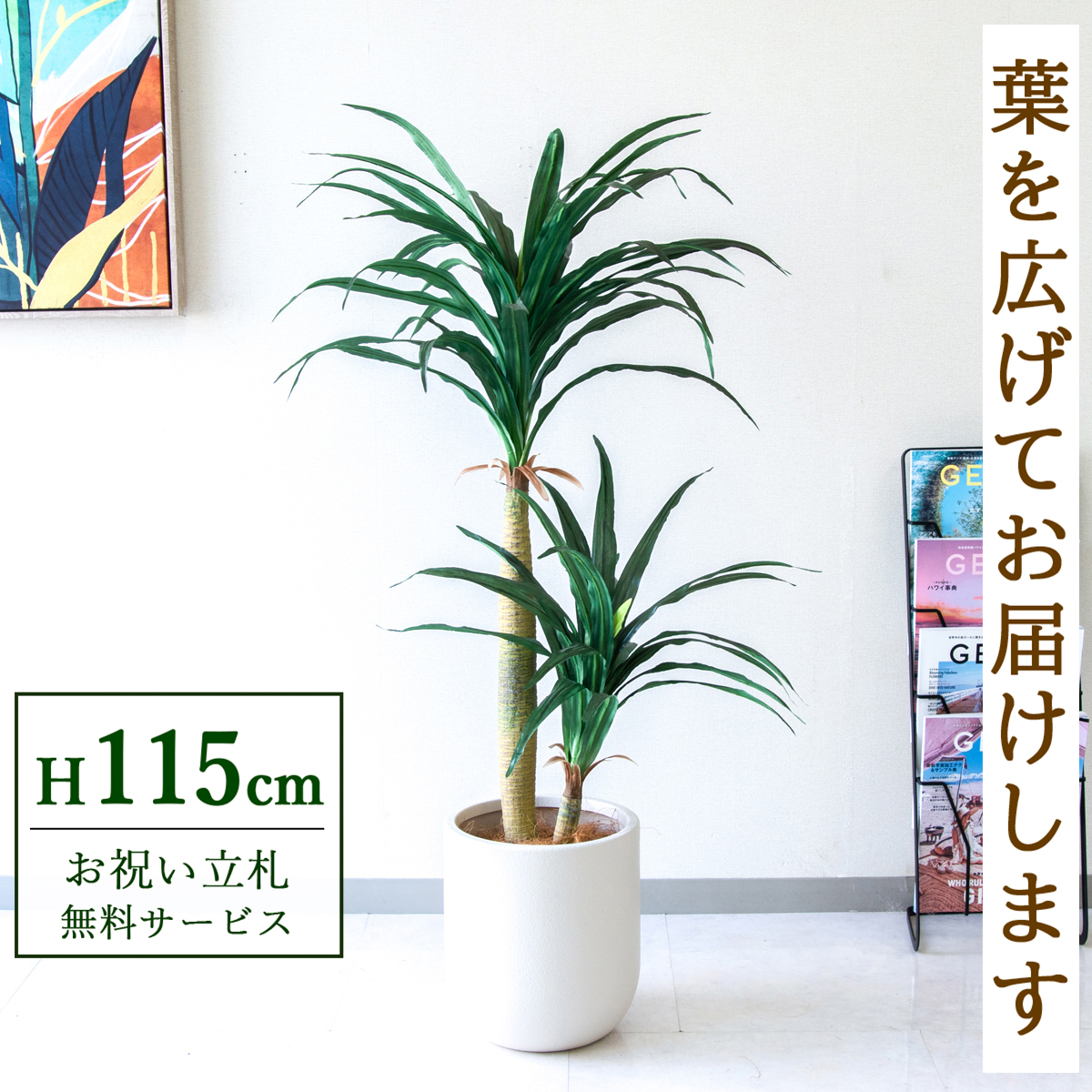 【すぐ飾れる】 フェイクグリーン ドラセナコンシナ 115cm  鉢付き / 法人・開店祝い 店舗・オフィス装飾 空間演出 立札無料・造花/PG014-CHC25IV