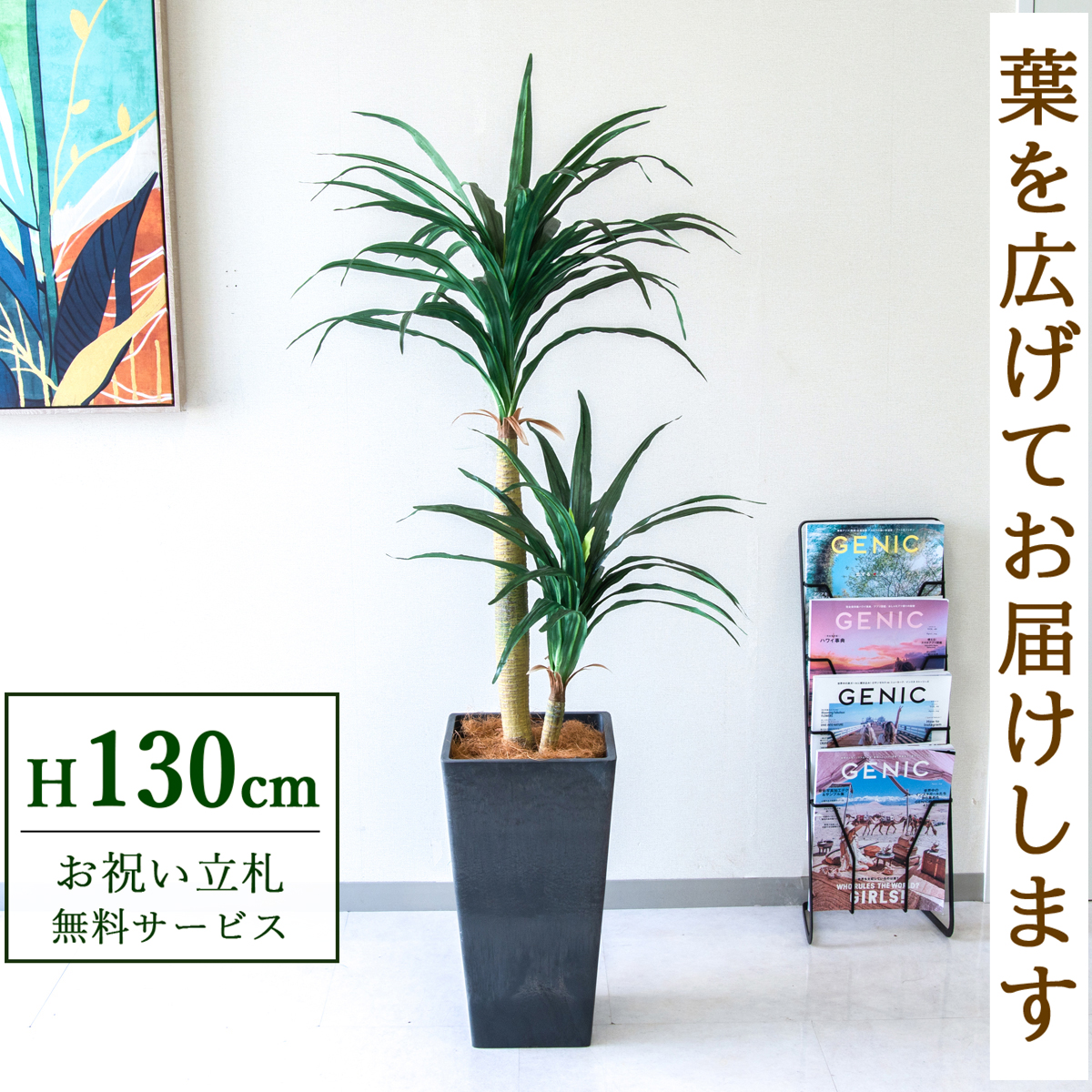 【すぐ飾れる】 フェイクグリーン ドラセナコンシナ 130cm  鉢付き / 法人・開店祝い 店舗・オフィス装飾 空間演出 立札無料・造花/PG014-Q25BK