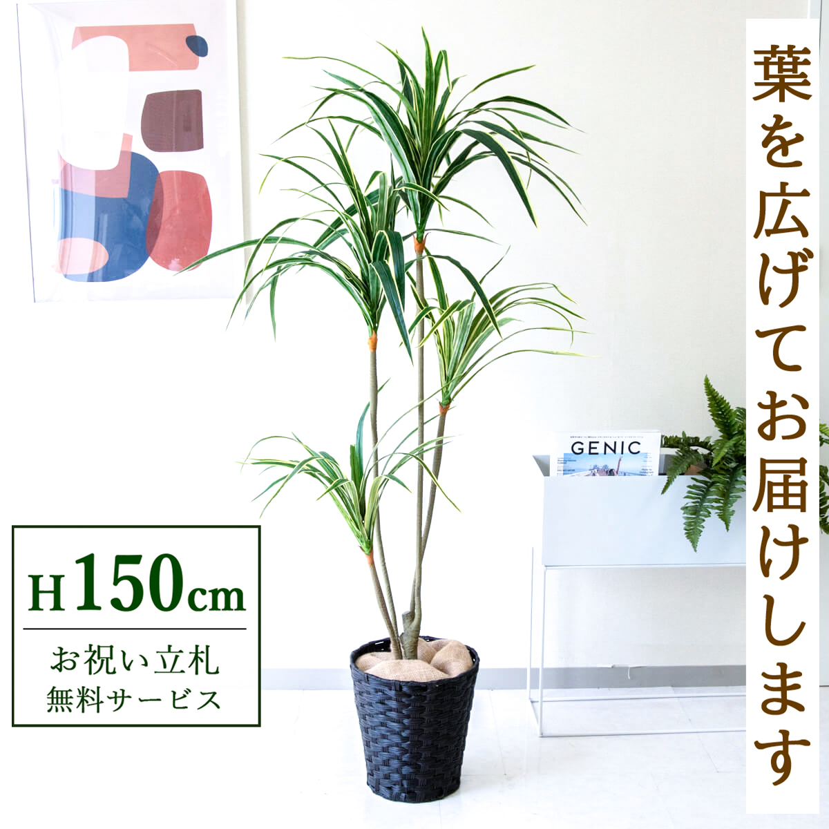 【すぐ飾れる】 フェイクグリーン ユッカ 150cm 鉢付き / 法人・開店祝い 店舗・オフィス装飾 空間演出 立札無料・造花/PG079-MEL26DB