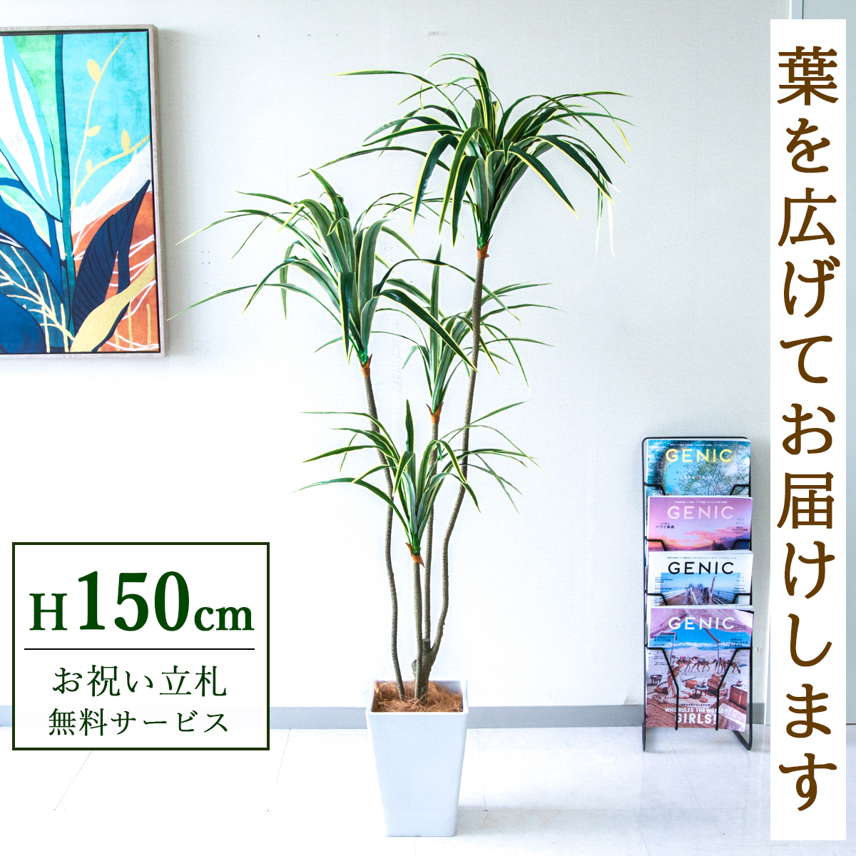 【すぐ飾れる】 フェイクグリーン ユッカ 150cm 鉢付き / 法人・開店祝い 店舗・オフィス装飾 空間演出 立札無料・造花/PG079-Q20WH